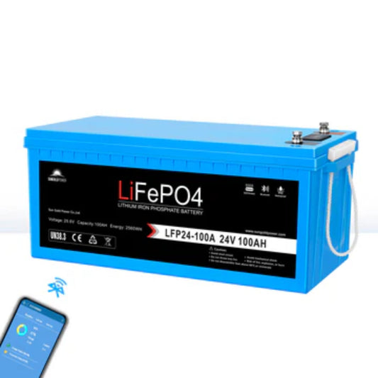 24V 100AH LiFePO4 Deep Cycle Lithium Battery / Bluetooth /Self-heating / IP65