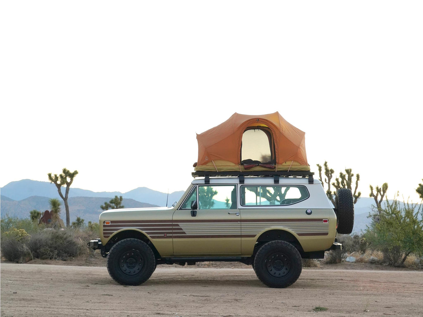 REV RACK TENT