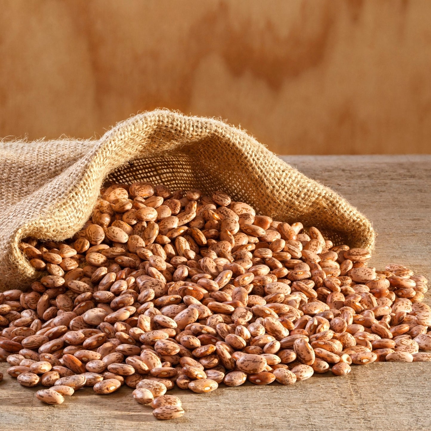 Dried Pinto Beans 4 Gallon Pail, 311 Servings