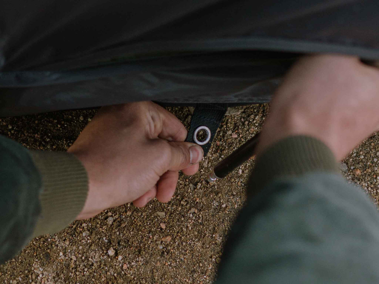 REV TENT (scout)
