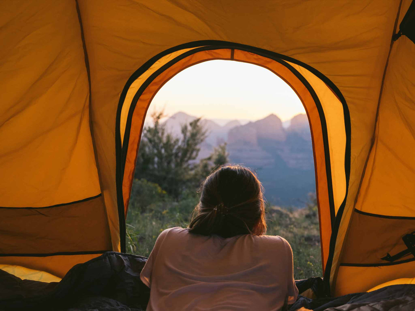 REV RACK TENT